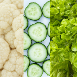 HFDPC 外泌體示意圖