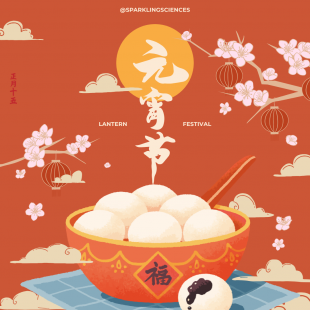 元宵.png